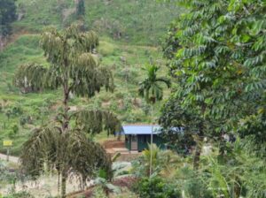 IMG-20251006-WA0010