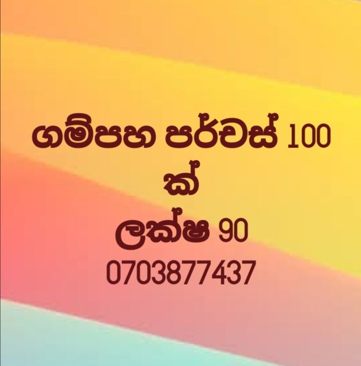 597755896_2322782521499958_237434295157912746_n