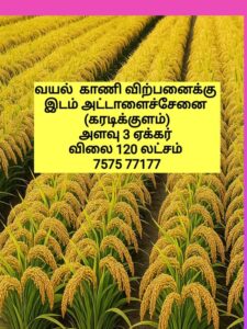 599948761_25276680488657251_4699157218673233623_n