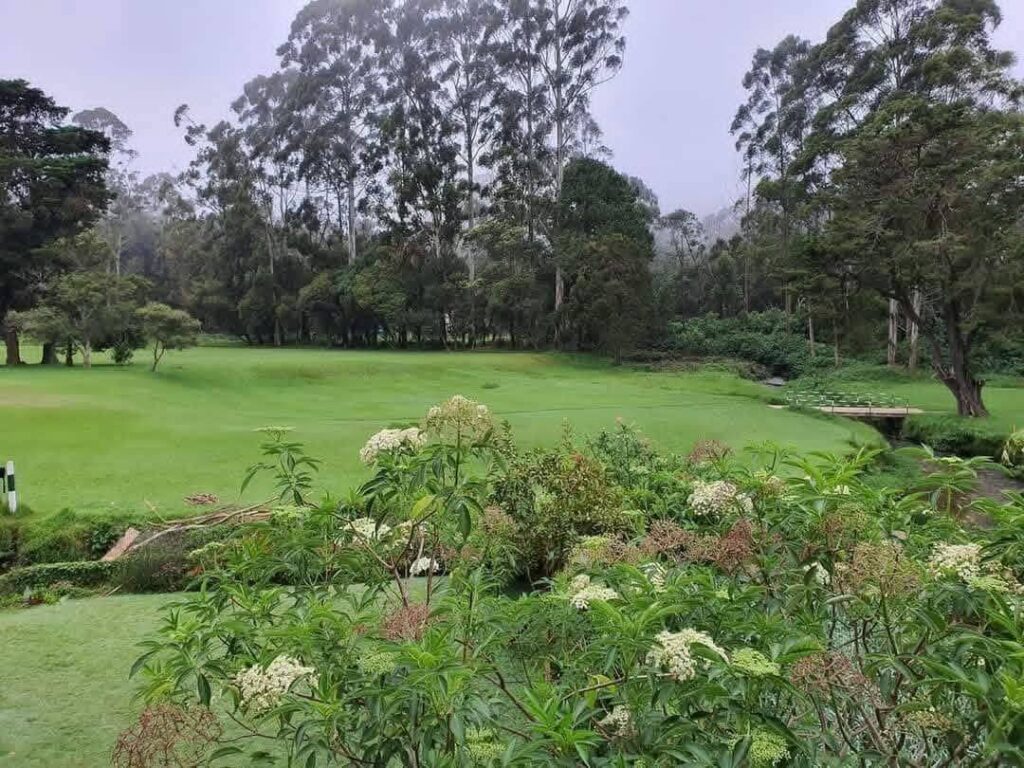 601832383_1322294099914437_8060071792976982816_n